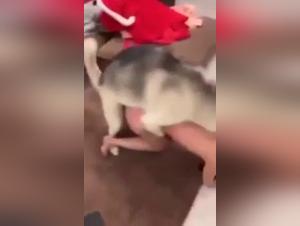 Sex scene with dog: a Chinese woman without taboos