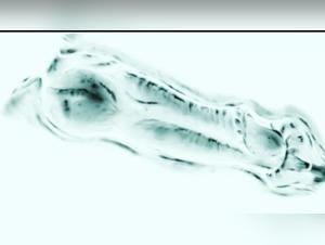 Une Expérience Extrême et Excitante