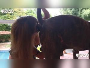 Taboo Sexual Scenes with Dogs: the hottest zoophilie videos at ArtofZoo