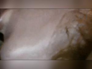 Extreme dog sex video