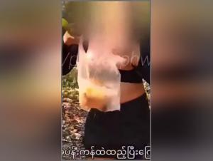 Bestiality Sex Video with a Beautiful Asian