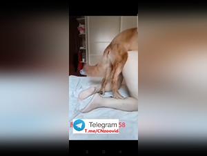 Entdecken Sie Fetisch-Obsession: Extravagantes Tierficken