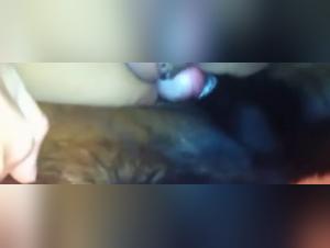 Sottomissione femminile: scopata da cani potenti