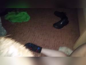 Dog sex videos: a submissive blonde lets herself be dominated by a dog