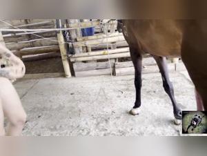 Un po' di amore per gli animali su Tickzoo.com
