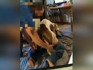 Schlampen und Hunde: perverse Fusion der Wunsche