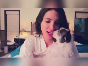 pornovolk and zoo taboo