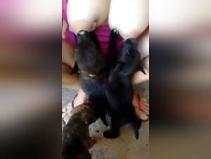 Une expérience extrême de zoophilie