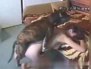 Extreme Sex with a Chinese Girl and a Dog: A Forbidden Encounter