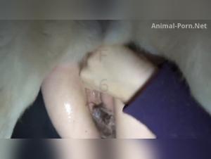 Raw domination: When the woman becomes prey to animal pleasure
