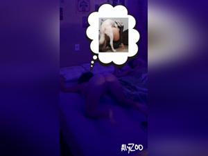 Dog Servicing: Reality or Fantasy?