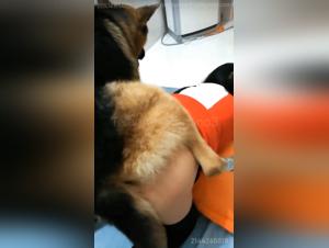 Discover the Pleasures of Bestiality and Sex with a Dog