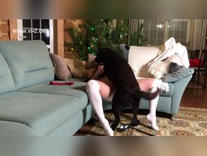 A bestiality zoophilia sex video not to be missed