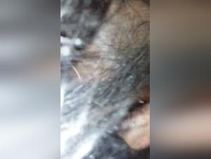 Bestiality Sex Video with a Mare