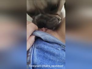 Dog Anal Sex with Pussy