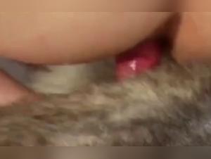 Where Fantasy Meets Reality: Animal Encounters