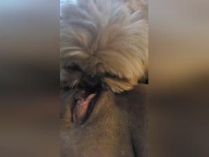 Zoophilia video: discover the forbidden pleasures of bestiality