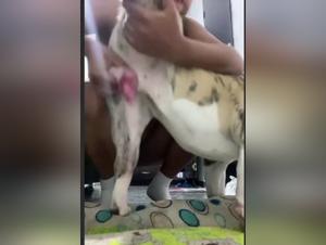 The blonde woman's outrageous revenge 