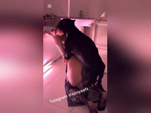 Demonic chic, abusando del loro potere canino