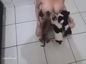 Sex with Dogs Videos: A Forbidden Encounter