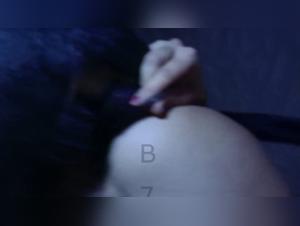 Exploring Canine Control and Submission