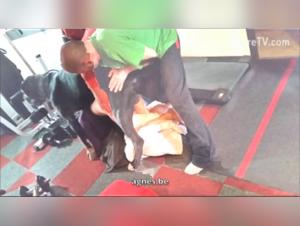 Discover the world of zoophilia on agnes.be