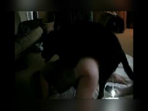 Explore the Limits of Zoophilia