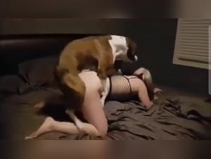 Sex with a dog in hardcore bestiality video