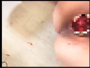 Extreme Bestiality Video