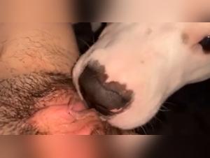 exclusive pornsocket content