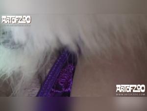 An extreme bestiality experience