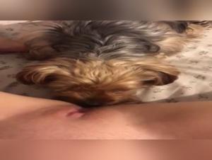 Bestiality Video: A Woman and Her Dog