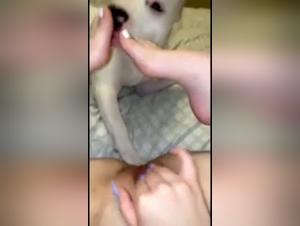 Esplora il comportamento fetish: Doggy x Slut Hardcore