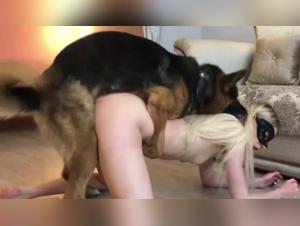 Svela desideri salaci: donne e cani pazzi