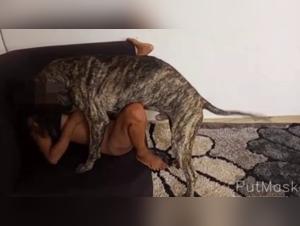 Intense moments of dog sex