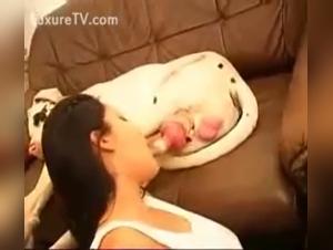 Sex video with dog: discover intense moments