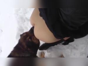 Extreme Dog Sex in the Snow