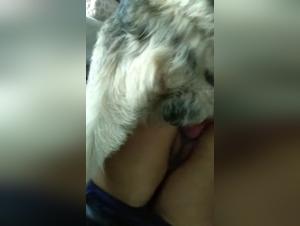 Shocking and exciting zoophilia video