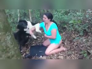 Zoophilia bestiality sex videos with dogs