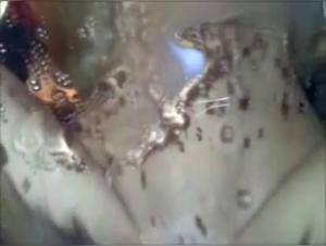 Hard sex scenes with dogs for zoophilia lovers