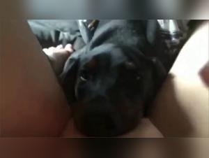 Bestiality video: a woman and her dog