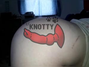 A Union of Human Desire and Feline Gratification: A Tale of Passion and Delight