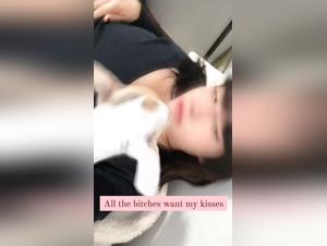 canine power unleashed