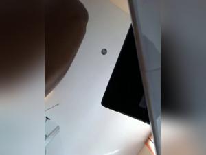 Fanculo con il cane e piacere di animale istintivo