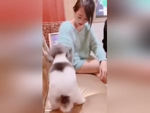 Shocking bestiality video