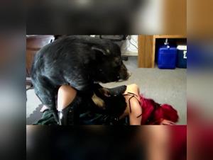 Zoophilia video: a bestial and exciting experience