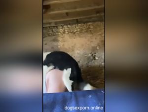 Navigating Taboo Territories