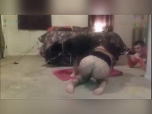 Explore the Frontiers of Desire Forbidden: A Slut and Her Dog in a Wild Orgy