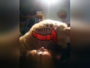 The video game group and the pleasure of new acquaintances