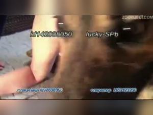 Dog Sex Videos: Explore the Extreme with This Blue-haired Russian Girl and Her Canine Companion